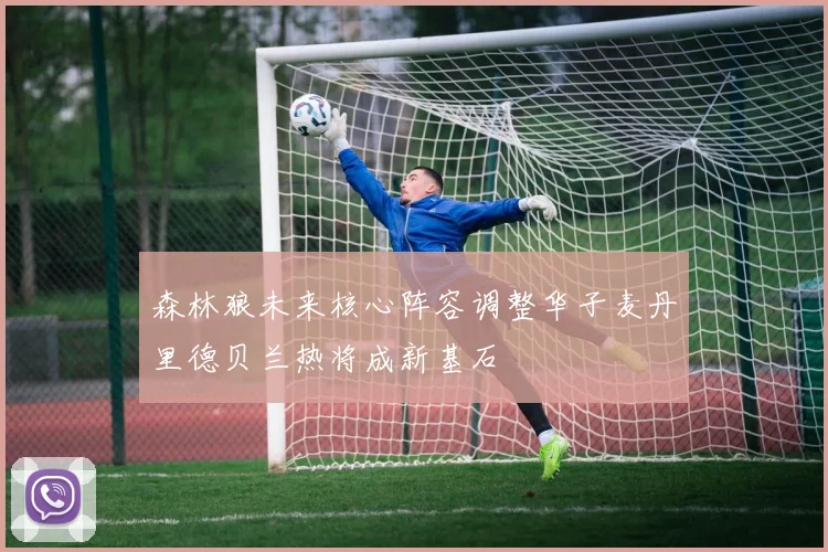 森林狼未来核心阵容调整华子麦丹里德贝兰热将成新基石